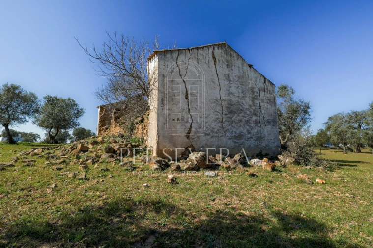 Quinta para Venda em Alter do Chão Foto 39