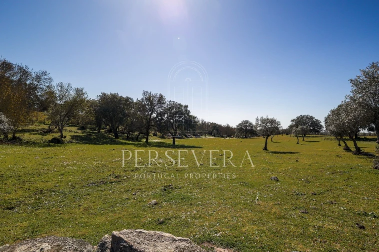 Quinta para Venda em Alter do Chão Foto 2