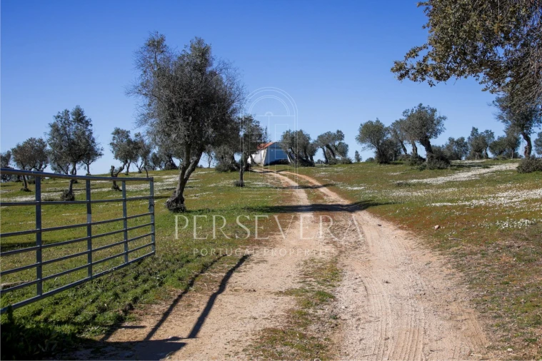 Quinta para Venda em Alter do Chão Foto 43