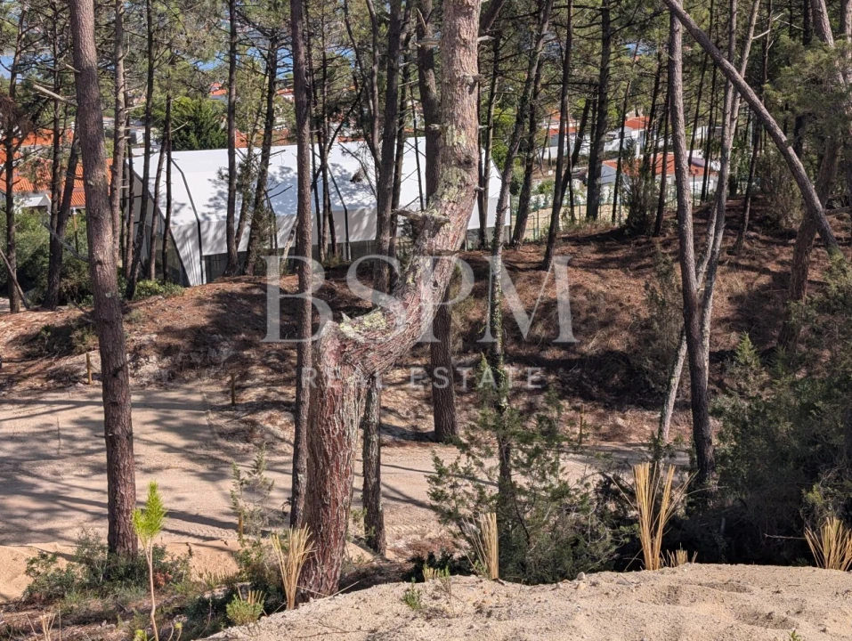 Moradia T3 para Venda em Vau Foto 27