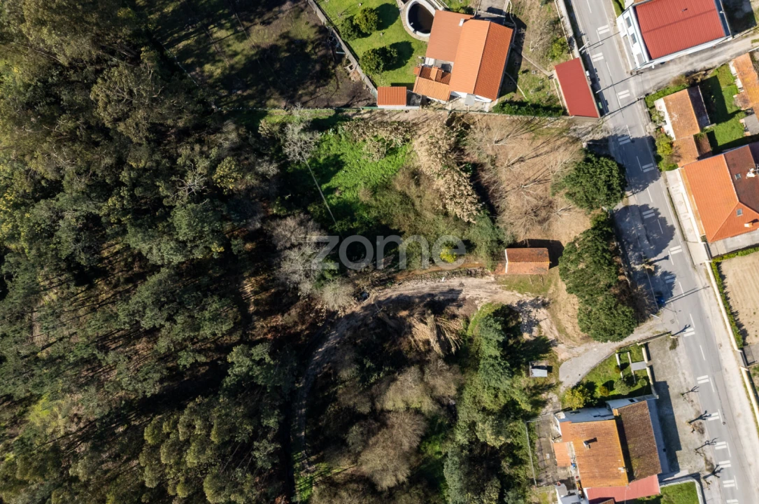 Moradia T1 para Venda em Moinhos de Gandara Foto 15