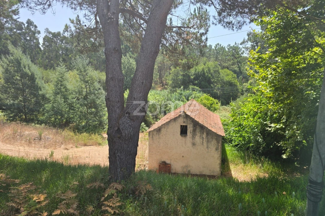 Moradia T1 para Venda em Moinhos de Gandara Foto 3