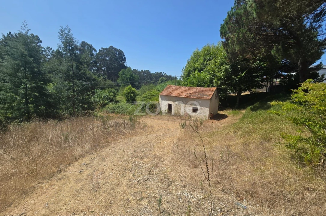 Moradia T1 para Venda em Moinhos de Gandara Foto 2