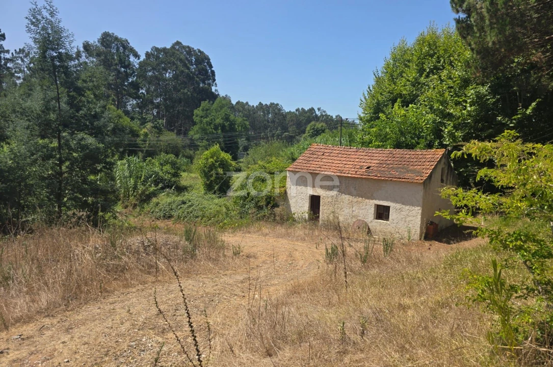 Moradia T1 para Venda em Moinhos de Gandara Foto 5