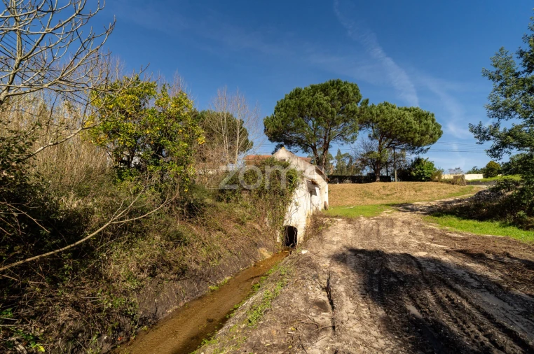 Moradia T1 para Venda em Moinhos de Gandara Foto 9
