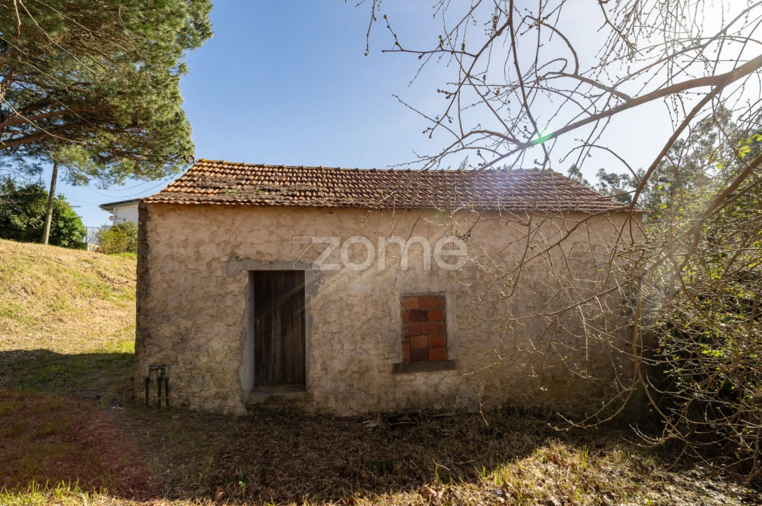 Moradia T1 para Venda em Moinhos de Gandara Foto 4