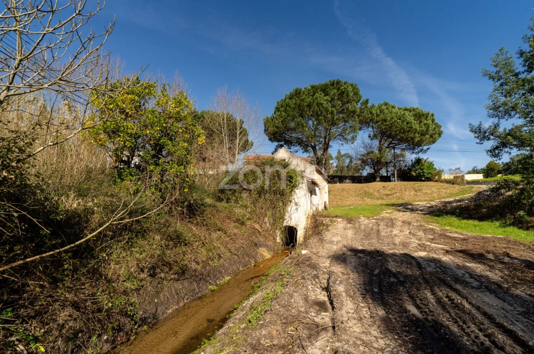 Moradia T1 para Venda em Moinhos de Gandara Foto 9