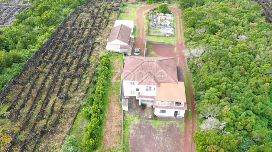 Moradia T4 para Venda em Criação Velha