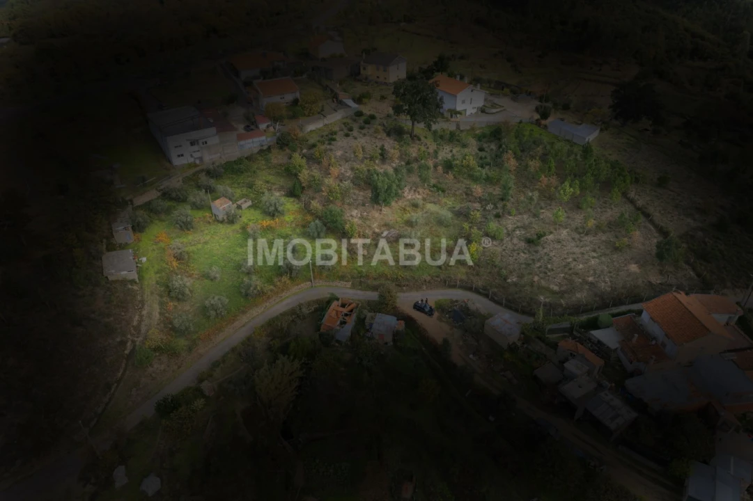 Terreno Agricola ou Rústico para Venda em Lagos da Beira e Lajeosa Foto 11