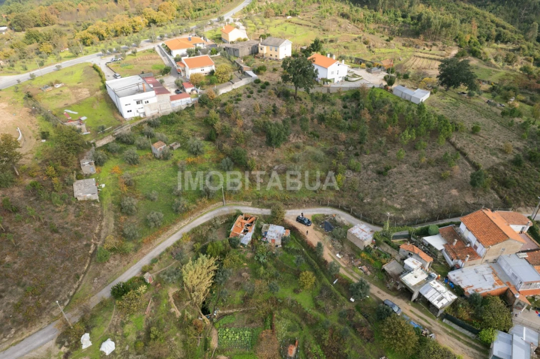 Terreno Agricola ou Rústico para Venda em Lagos da Beira e Lajeosa Foto 1