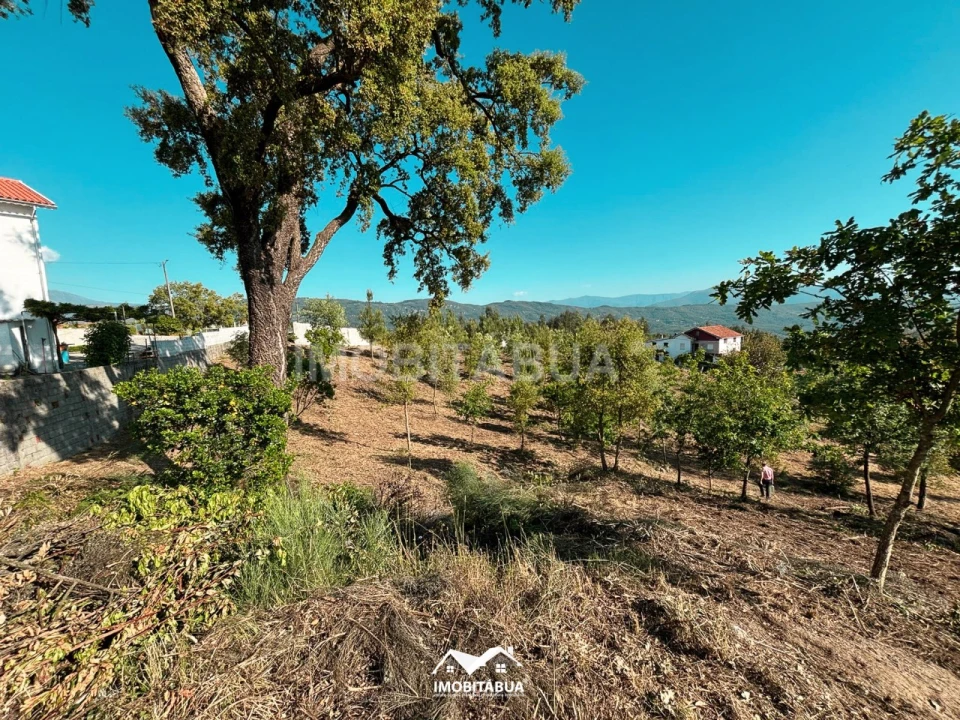 Terreno Agricola ou Rústico para Venda em Lagos da Beira e Lajeosa Foto 3