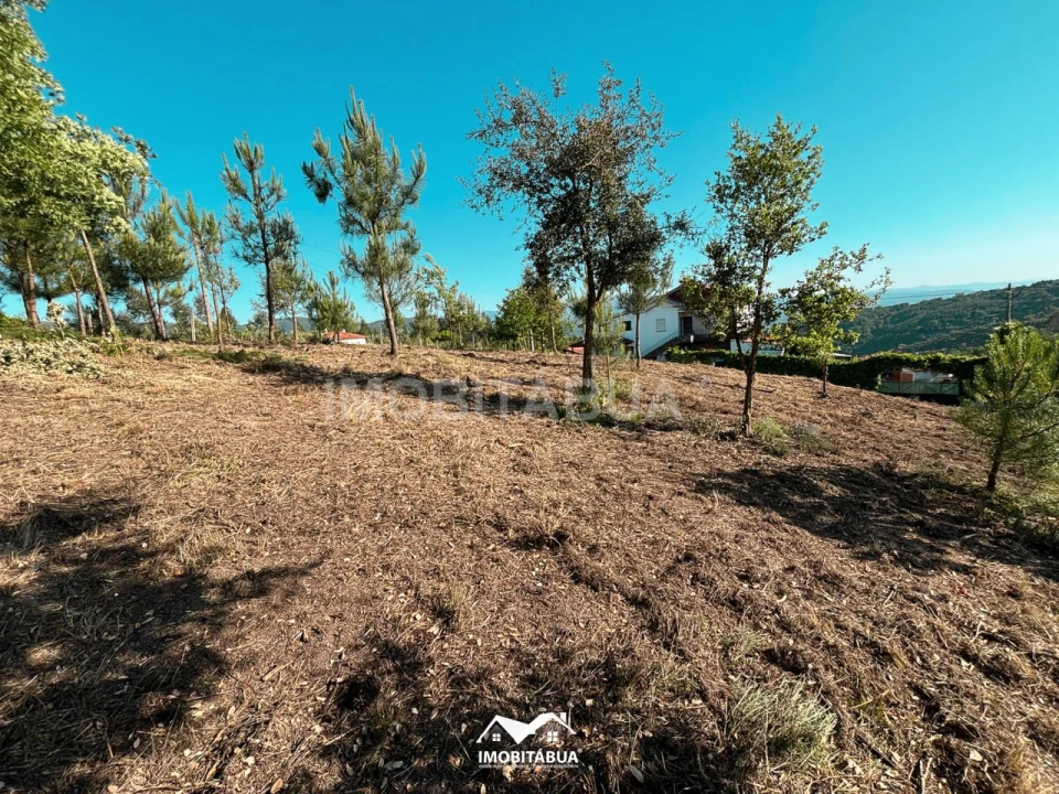 Terreno Agricola ou Rústico para Venda em Lagos da Beira e Lajeosa Foto 5