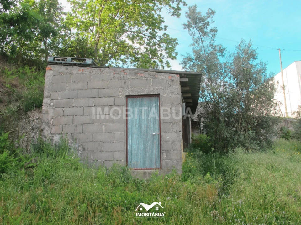 Terreno Agricola ou Rústico para Venda em Lagos da Beira e Lajeosa Foto 9