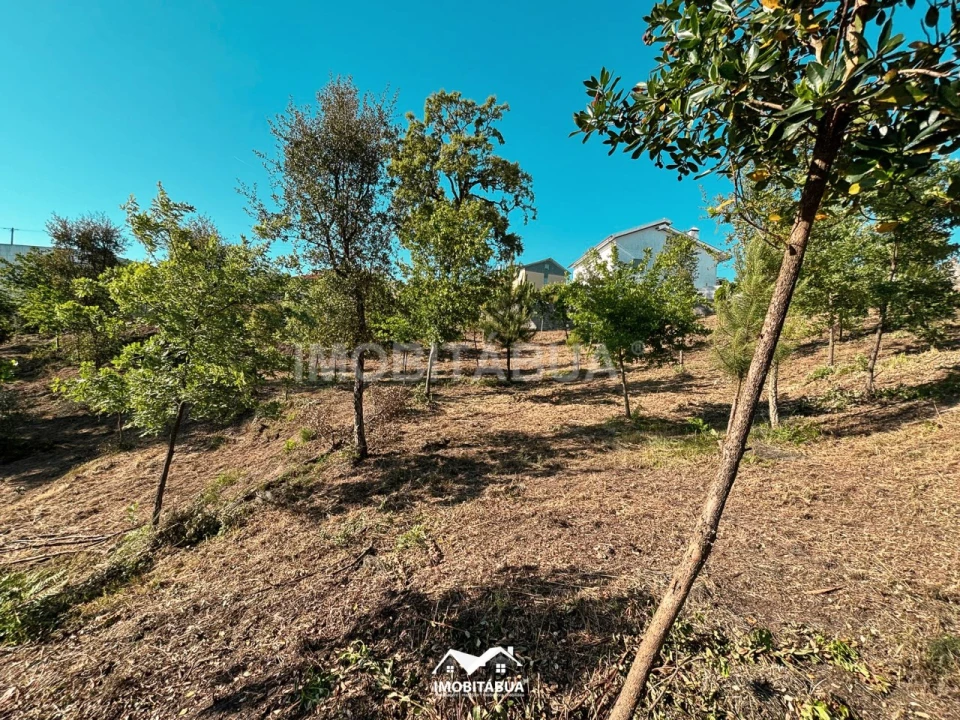 Terreno Agricola ou Rústico para Venda em Lagos da Beira e Lajeosa Foto 16