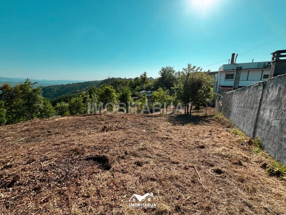 Terreno Agricola ou Rústico para Venda em Lagos da Beira e Lajeosa Foto 17