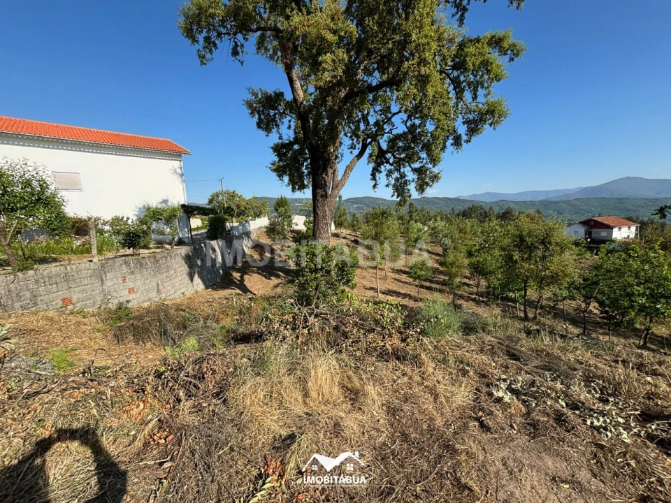 Terreno Agricola ou Rústico para Venda em Lagos da Beira e Lajeosa Foto 18