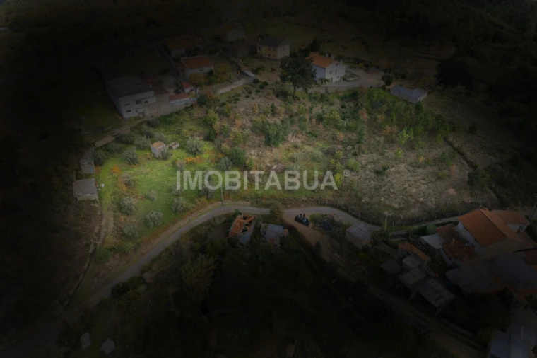 Terreno Agricola ou Rústico para Venda em Lagos da Beira e Lajeosa Foto 11