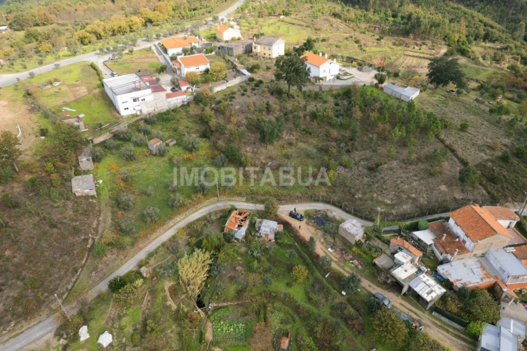 Terreno Agricola ou Rústico para Venda em Lagos da Beira e Lajeosa Foto 1