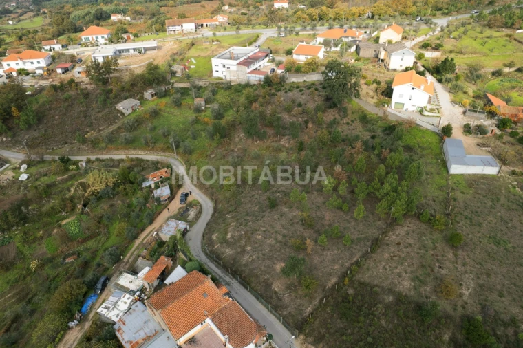 Terreno Agricola ou Rústico para Venda em Lagos da Beira e Lajeosa Foto 6