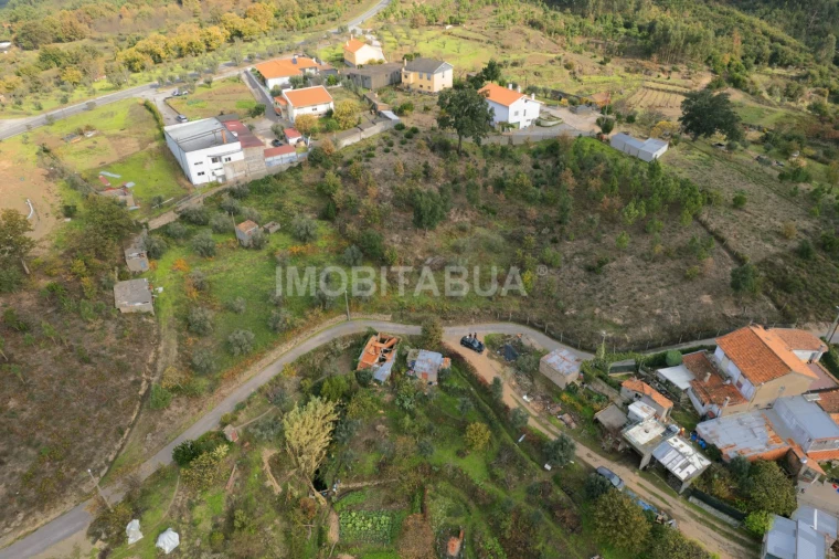 Terreno Agricola ou Rústico para Venda em Lagos da Beira e Lajeosa Foto 8