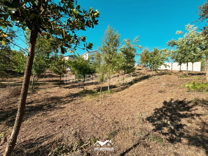 Terreno Agricola ou Rústico para Venda em Lagos da Beira e Lajeosa Foto 2