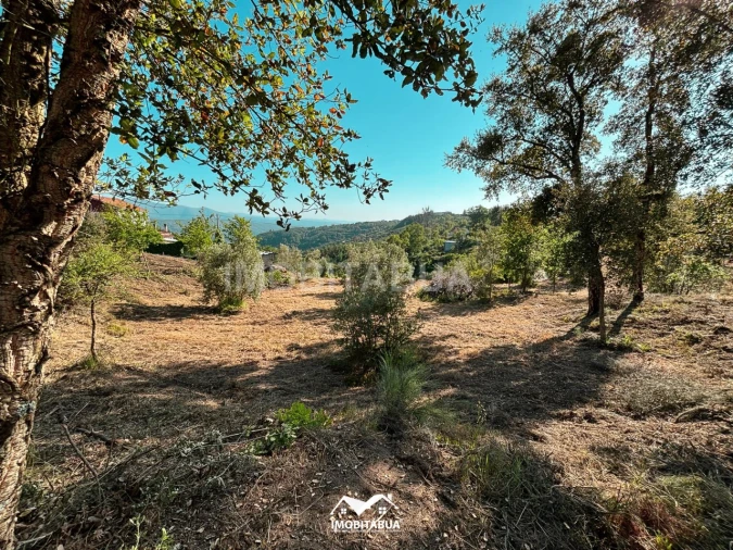 Terreno Agricola ou Rústico para Venda em Lagos da Beira e Lajeosa Foto 7