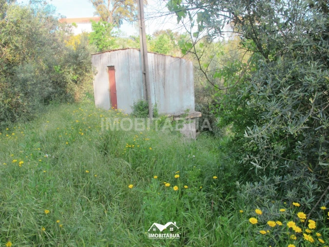 Terreno Agricola ou Rústico para Venda em Lagos da Beira e Lajeosa Foto 12