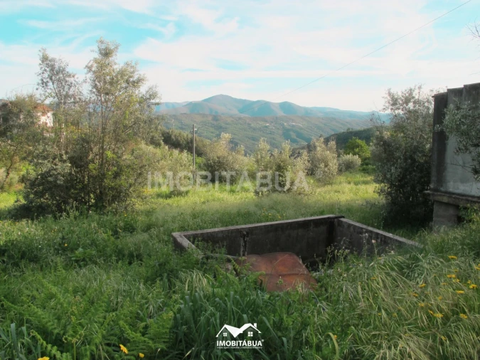 Terreno Agricola ou Rústico para Venda em Lagos da Beira e Lajeosa Foto 13