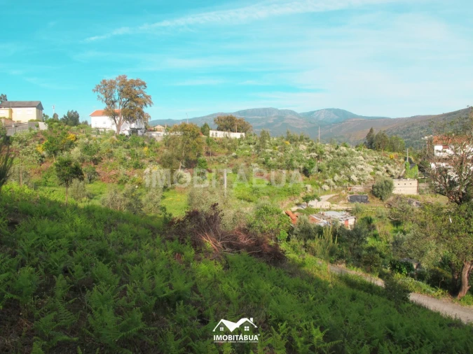 Terreno Agricola ou Rústico para Venda em Lagos da Beira e Lajeosa Foto 15