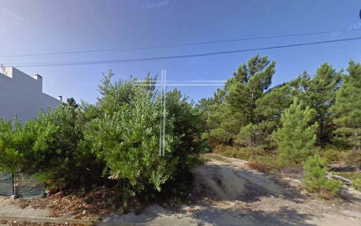 Terreno para Venda em Amora Foto 2