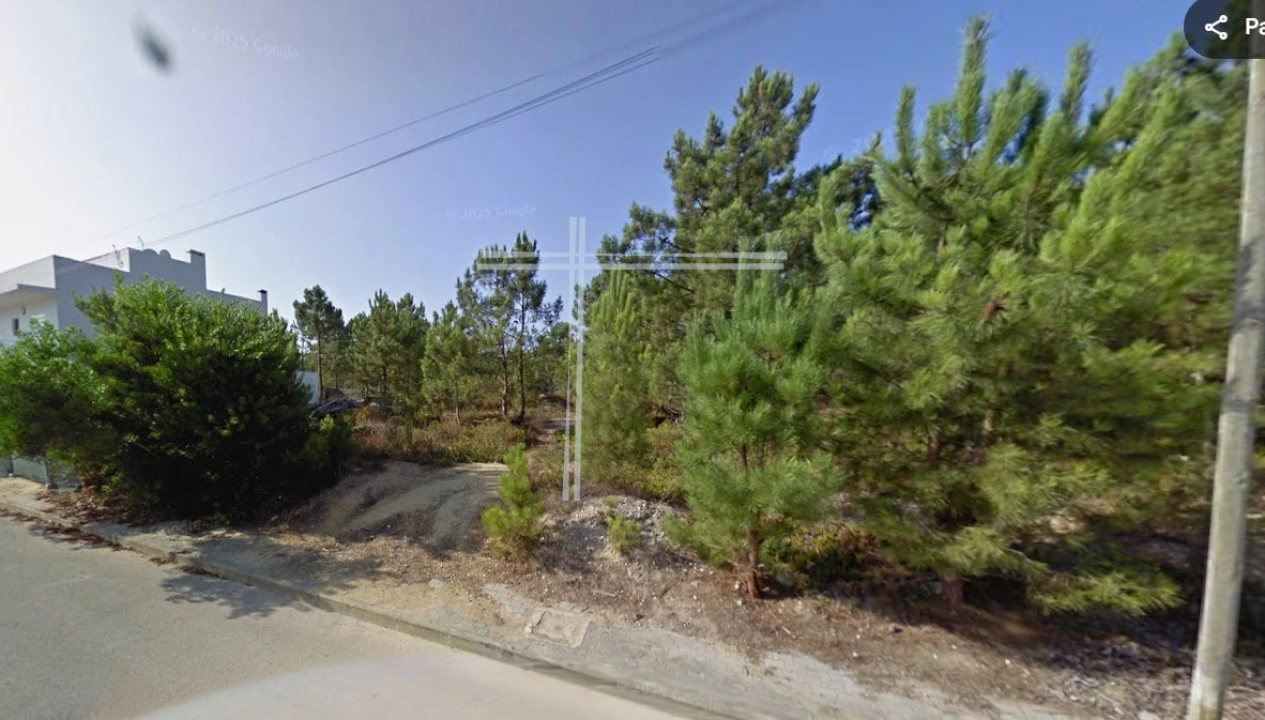 Terreno para Venda em Amora Foto 4