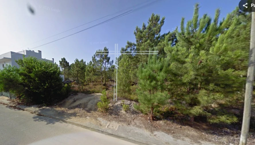 Terreno para Venda em Amora Foto 4