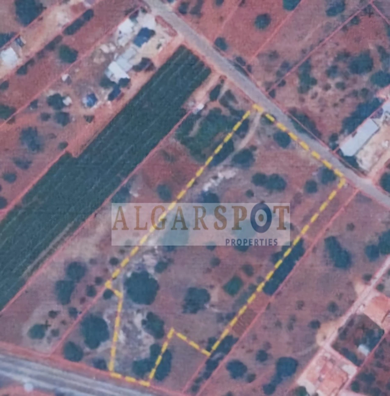 Terreno Agricola ou Rústico para Venda em Loule (São Sebastião) Foto 2