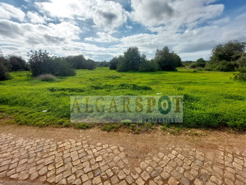 Terreno Agricola ou Rústico para Venda em Loule (São Sebastião) Foto 6