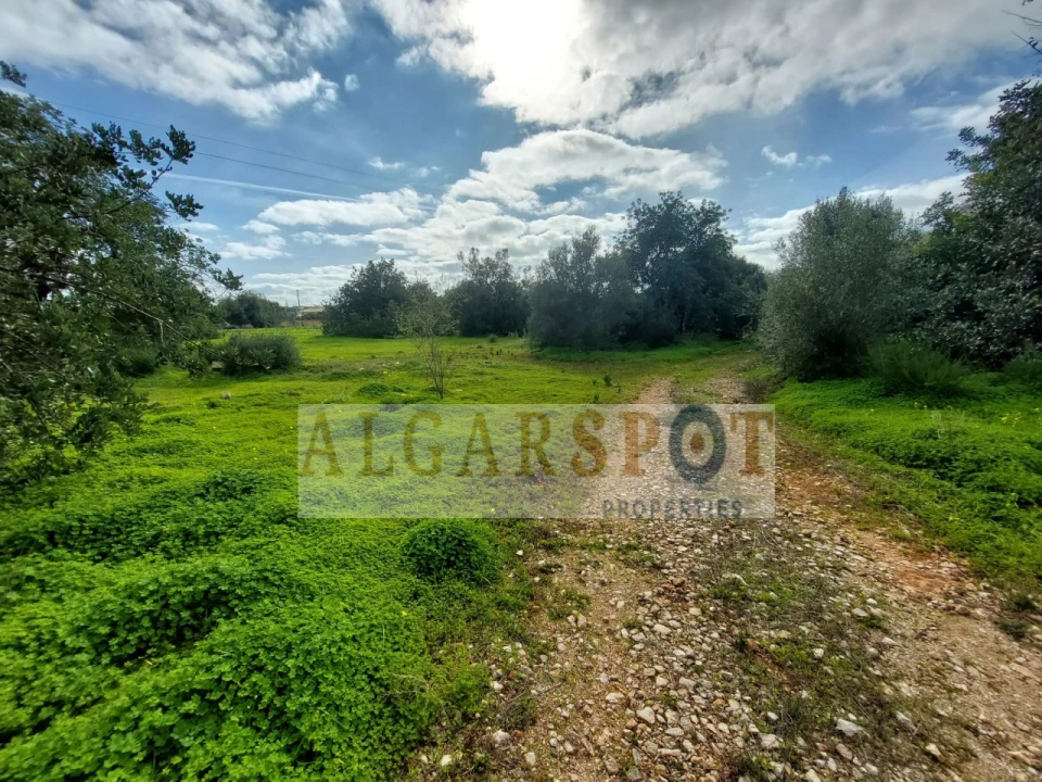 Terreno Agricola ou Rústico para Venda em Loule (São Sebastião) Foto 7