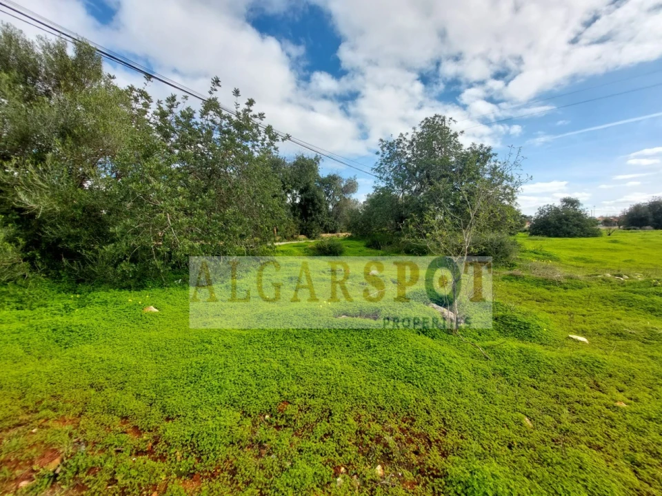 Terreno Agricola ou Rústico para Venda em Loule (São Sebastião) Foto 8