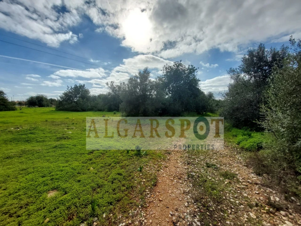 Terreno Agricola ou Rústico para Venda em Loule (São Sebastião) Foto 9