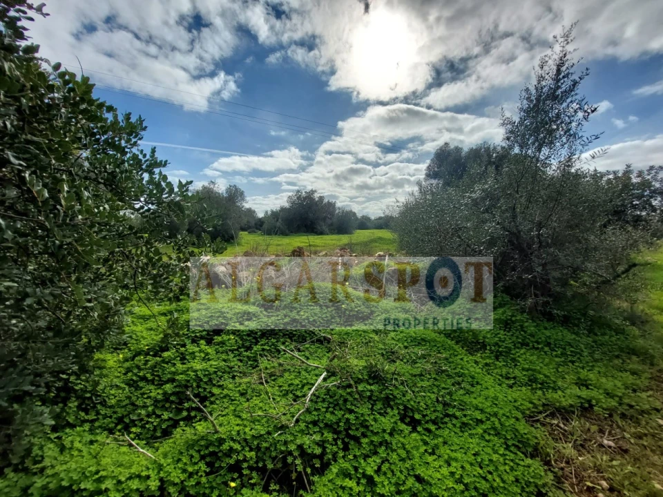 Terreno Agricola ou Rústico para Venda em Loule (São Sebastião) Foto 10