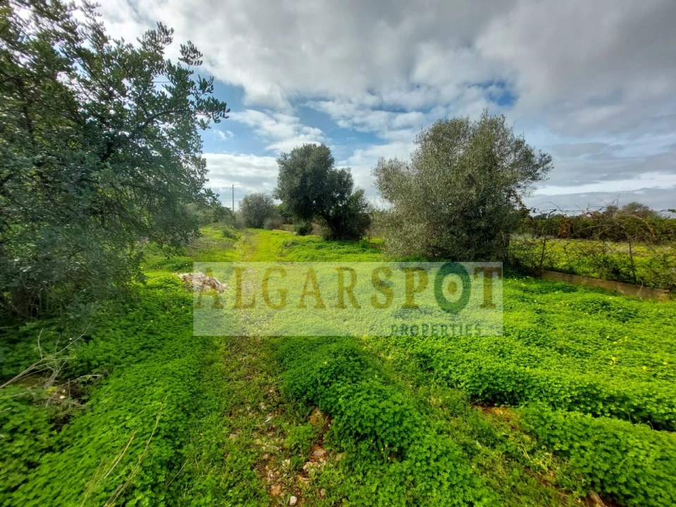 Terreno Agricola ou Rústico para Venda em Loule (São Sebastião) Foto 11