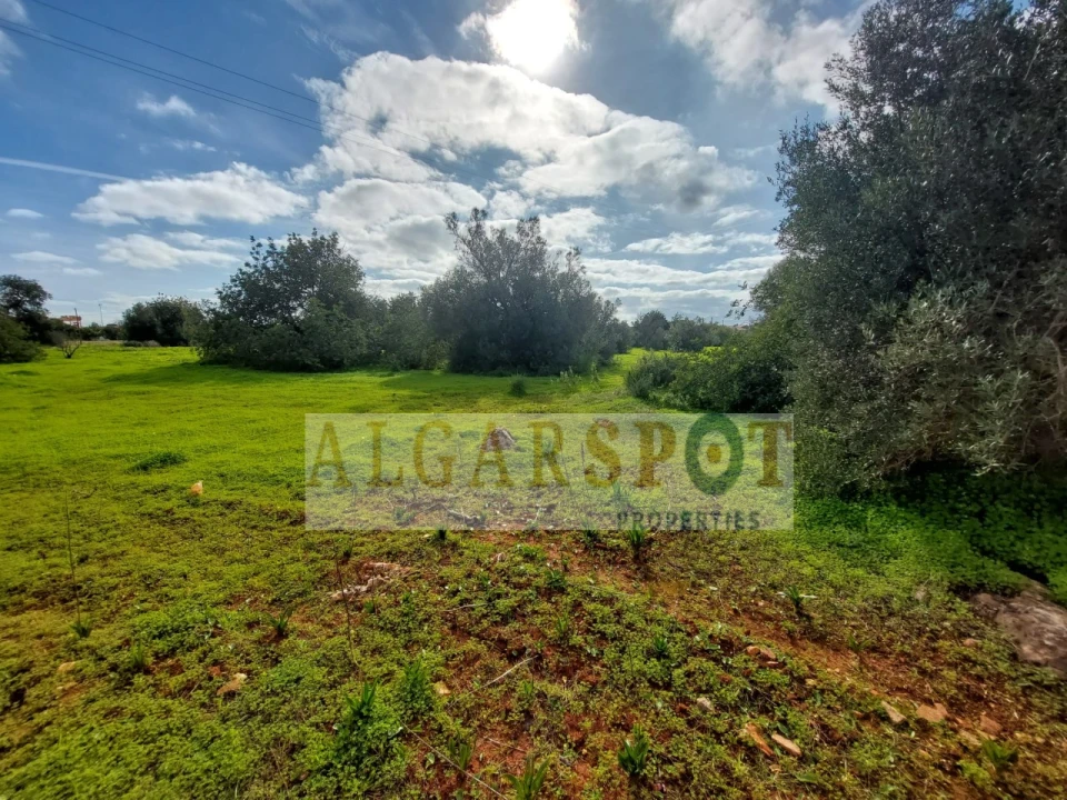 Terreno Agricola ou Rústico para Venda em Loule (São Sebastião) Foto 14