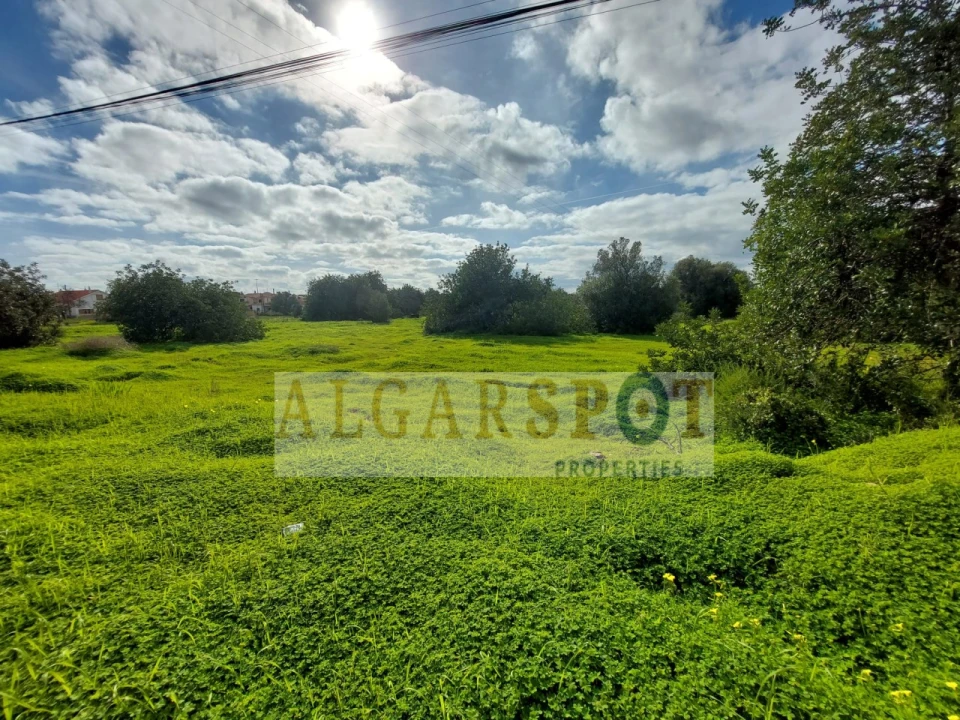 Terreno Agricola ou Rústico para Venda em Loule (São Sebastião) Foto 15