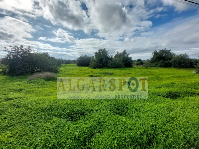 Terreno Agricola ou Rústico para Venda em Loule (São Sebastião) Foto 1