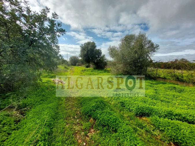 Terreno Agricola ou Rústico para Venda em Loule (São Sebastião) Foto 11