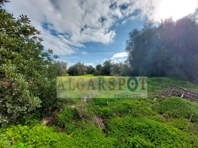 Terreno Agricola ou Rústico para Venda em Loule (São Sebastião) Foto 12