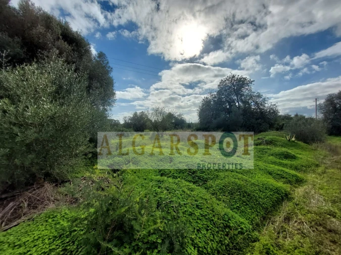 Terreno Agricola ou Rústico para Venda em Loule (São Sebastião) Foto 13
