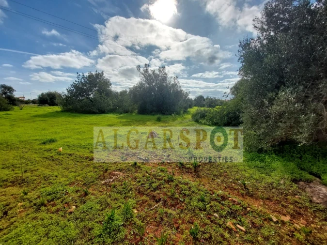 Terreno Agricola ou Rústico para Venda em Loule (São Sebastião) Foto 14