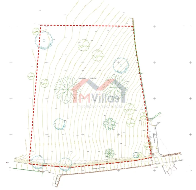 Terreno para Venda em Boliqueime Foto 9