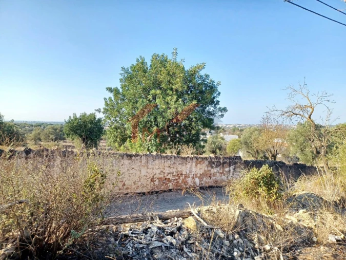 Terreno para Venda em Boliqueime Foto 5