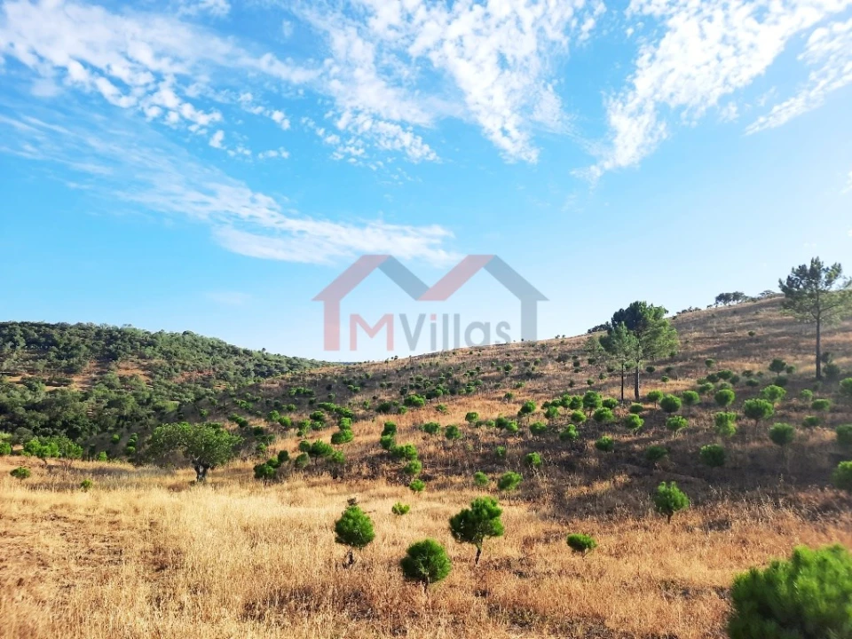 Terreno para Venda em Querença, Tôr e Benafim Foto 1