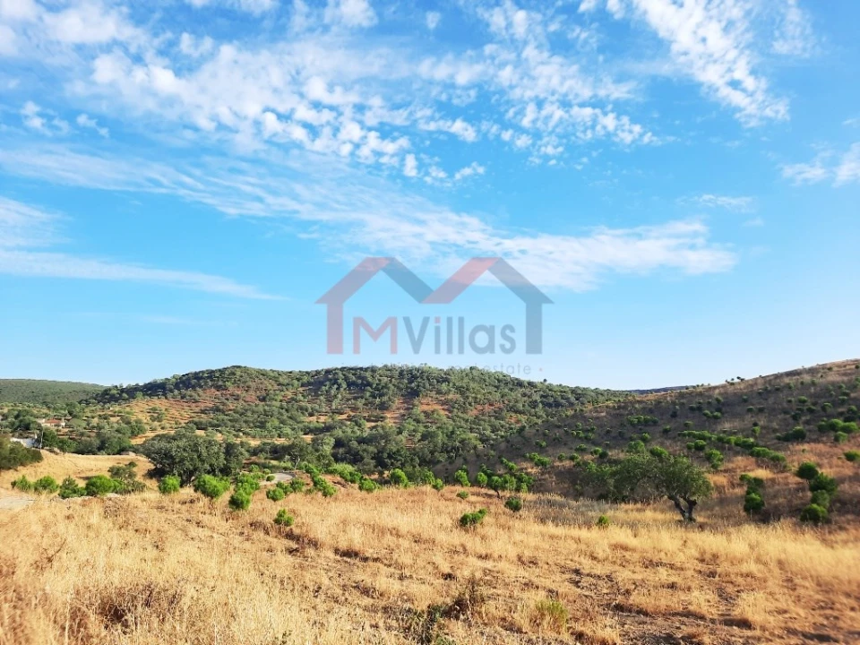 Terreno para Venda em Querença, Tôr e Benafim Foto 7